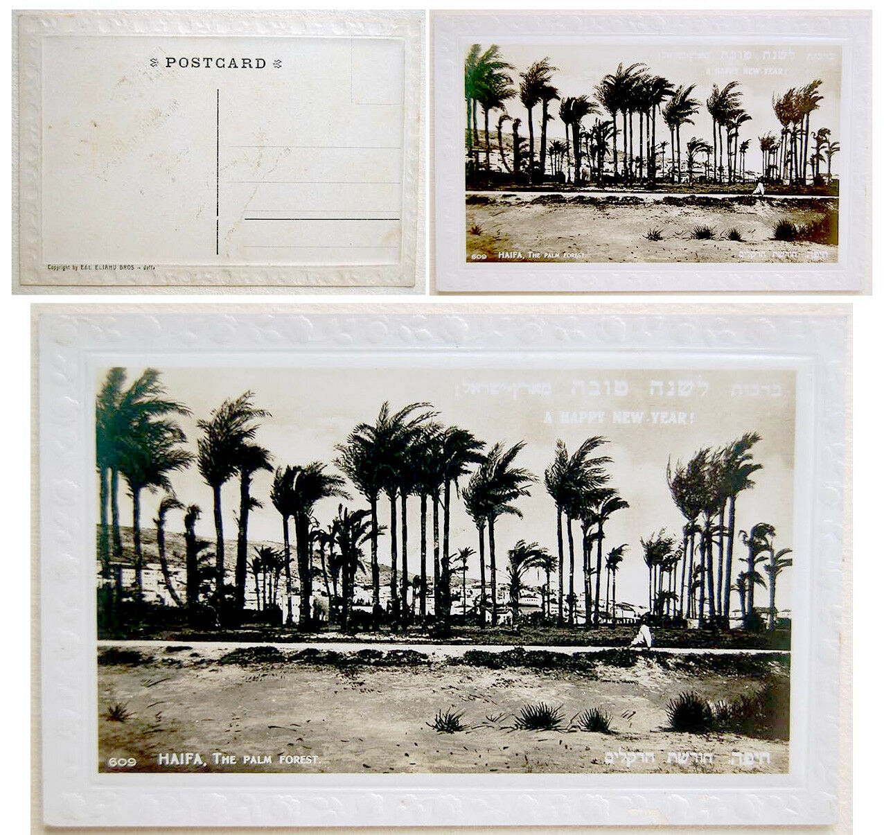 1930 Palestine Shana Tova Photo Postcard Israel Haifa Jewish Palm Judaica Hebrew