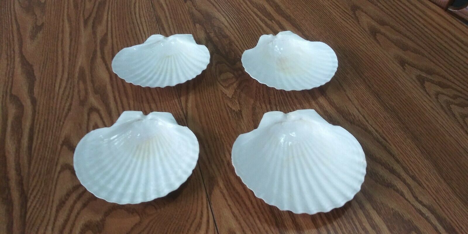 4 Natural Lions Paw Scallop Clam Shell Seashell Baking Soap Dish Candles